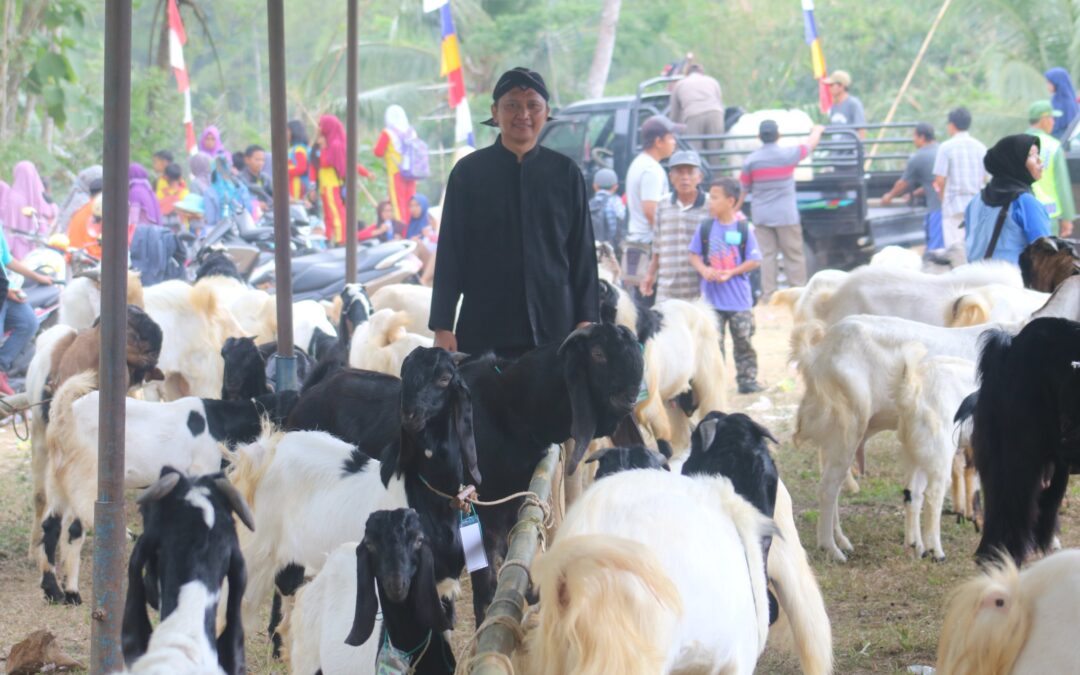 Festival Kambing Dermaji 2018 Digelar untuk Mendongkrak Ekonomi Desa