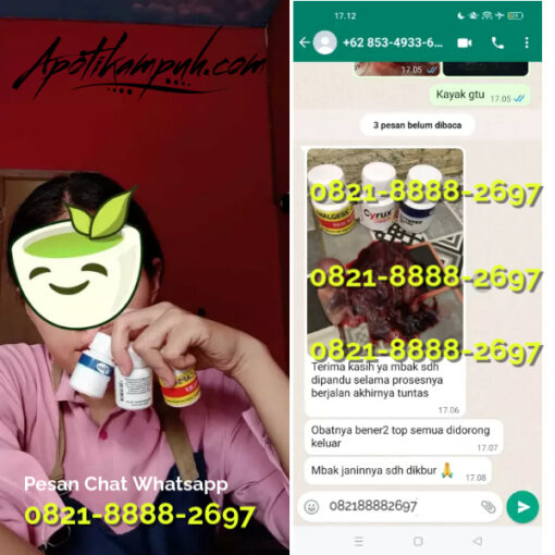 Cara-Menggugurkan-Kandungan-Rekomendasi-Dokter-dgn-Obat-Aborsi-Cytotec-dan-Gastrul-Asli.jpg