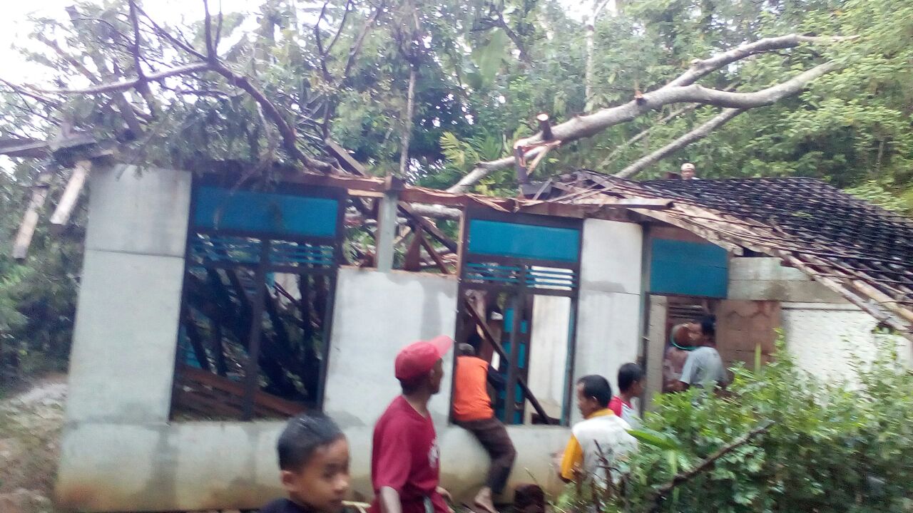 Satu Rumah di Grumbul Sirongge Rusak Parah Tertimpa Pohon Tumbang Saat Terjadi Hujan Disertai Angin
