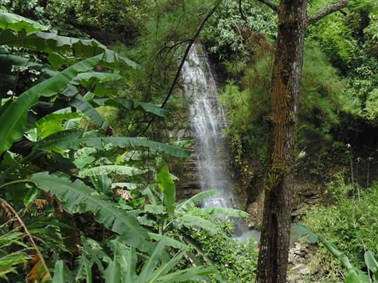 Perum Perhutani dan LMDH Wana Aji Kembangkan Wisata Curug Wanasuta Desa Dermaji