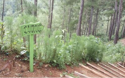 Bawalah Air Minum Ketika Turun Naik Anak Tangga di Wanasuta