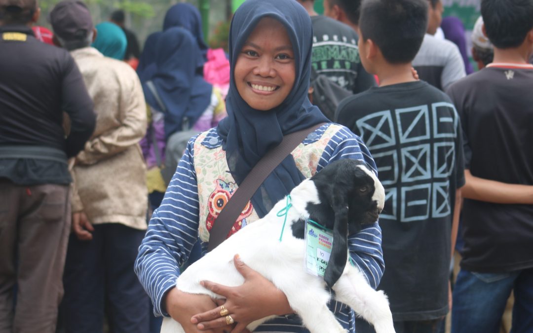 Beternak Kambing Itu Mudah
